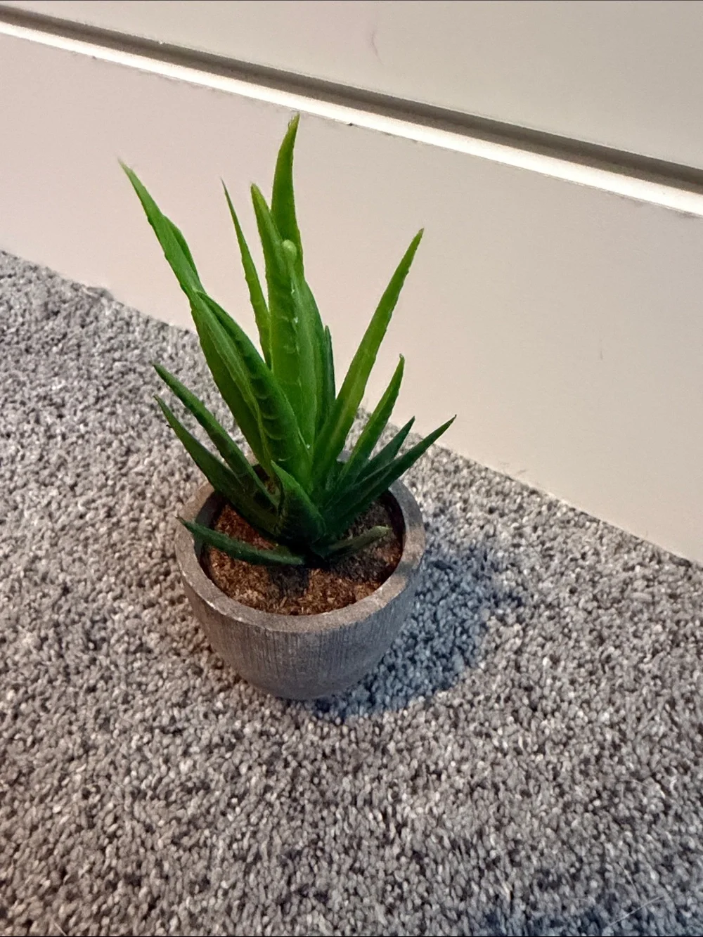 Small Artificial Aloe Succulent in Gray Concrete Pot - Green